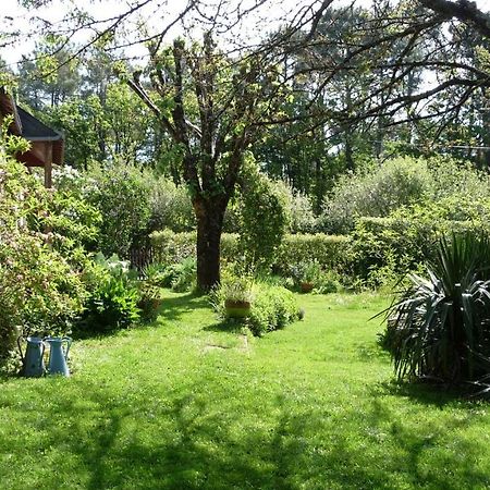 Le Jardin Aux Oiseaux Bed & Breakfast Férel Exterior foto