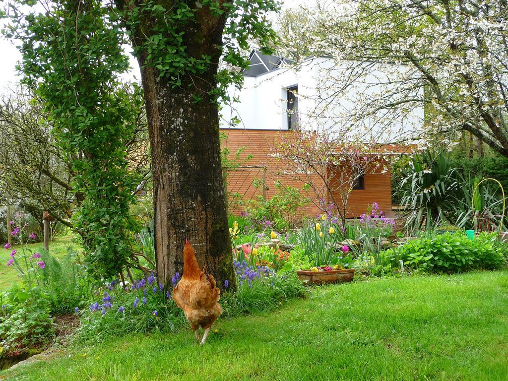 Le Jardin Aux Oiseaux Bed & Breakfast Férel Cameră foto