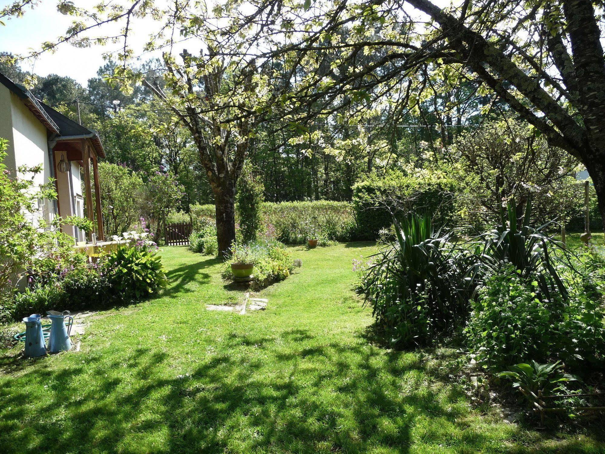 Le Jardin Aux Oiseaux Bed & Breakfast Férel Exterior foto
