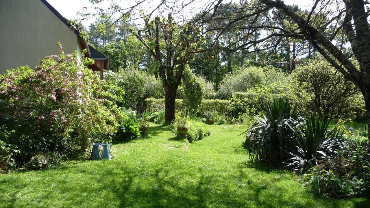 Le Jardin Aux Oiseaux Bed & Breakfast Férel Exterior foto